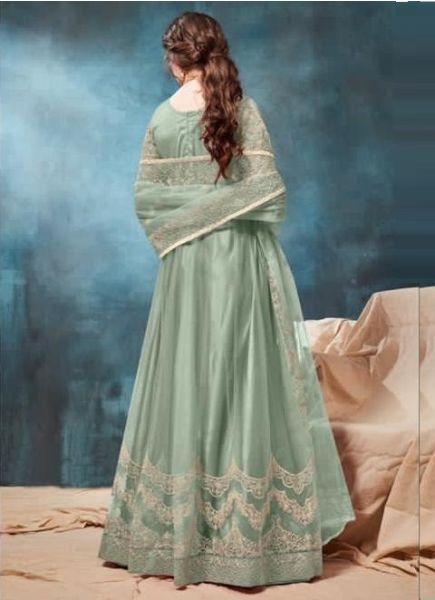 Light Sage Green Net Anarkali Salwar Suit