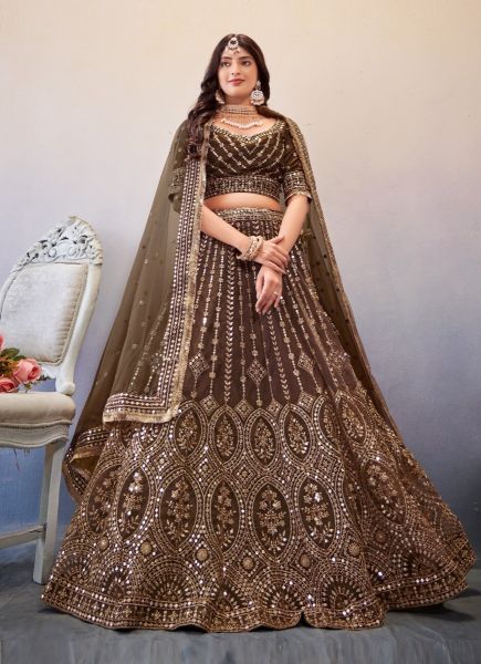 Nut Brown Net Embroidery & Gotta-Patti Work Party-Wear Lehenga Choli [With Can-Can]