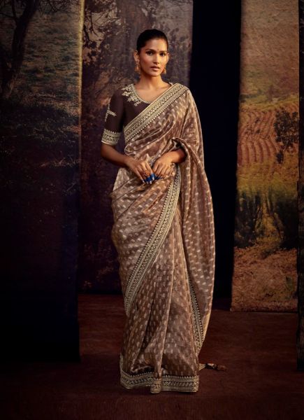 Brown Organza Embroidered Party-Wear Saree
